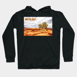 Juniper Tree in Capitol Reef National Park Hoodie